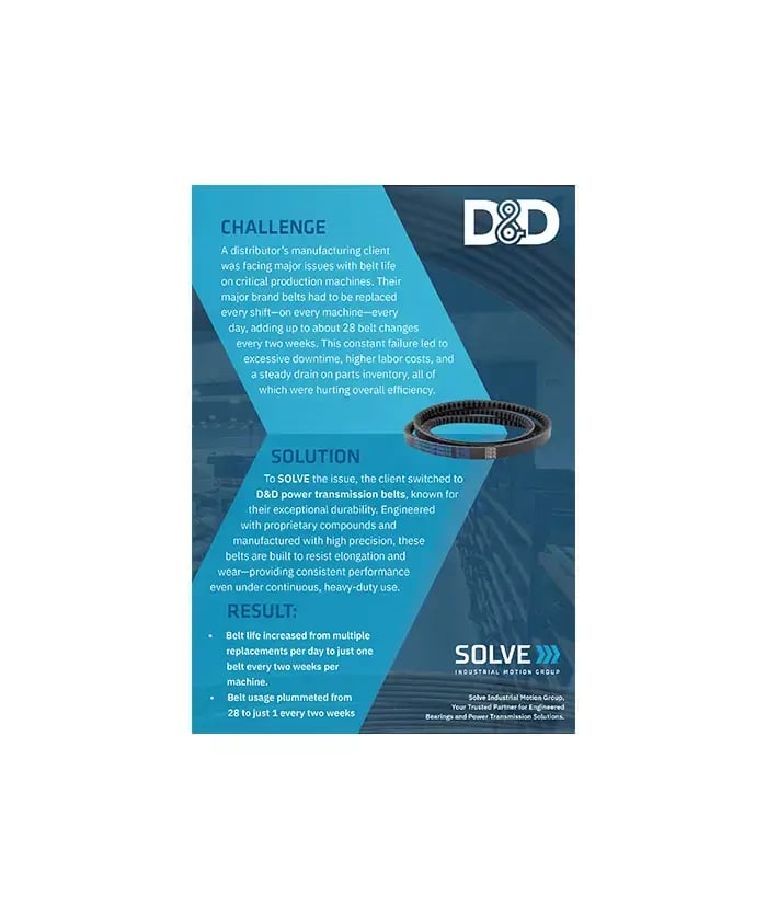 D&D Belt life Case Study image