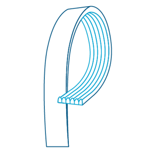 Banded Belt@400x400