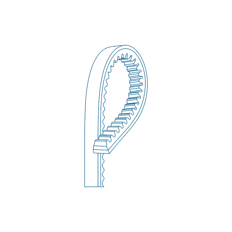Vbelt - blue