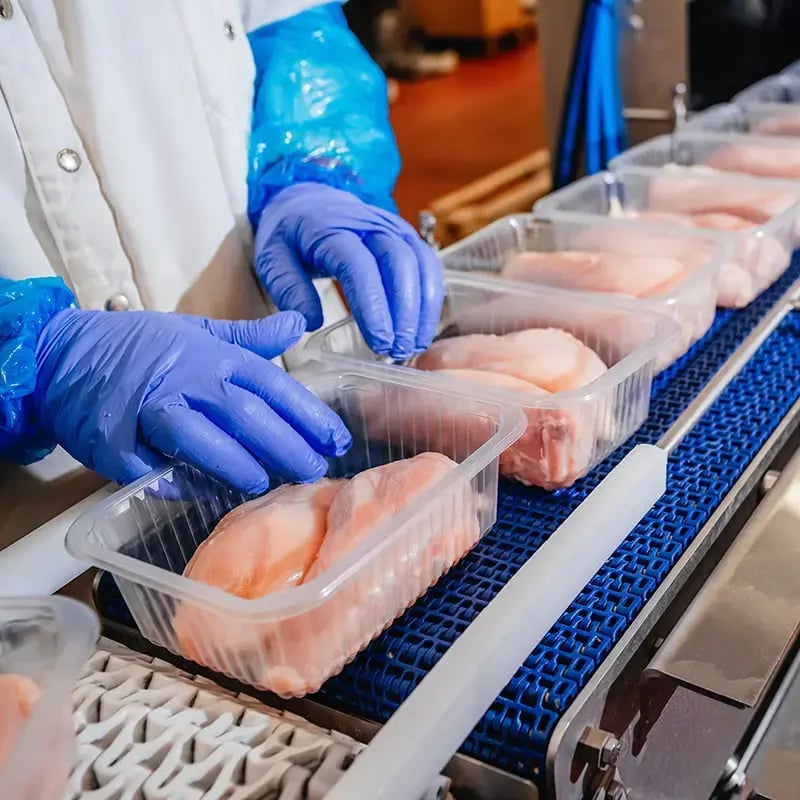 Poultry processing - trays 800x800